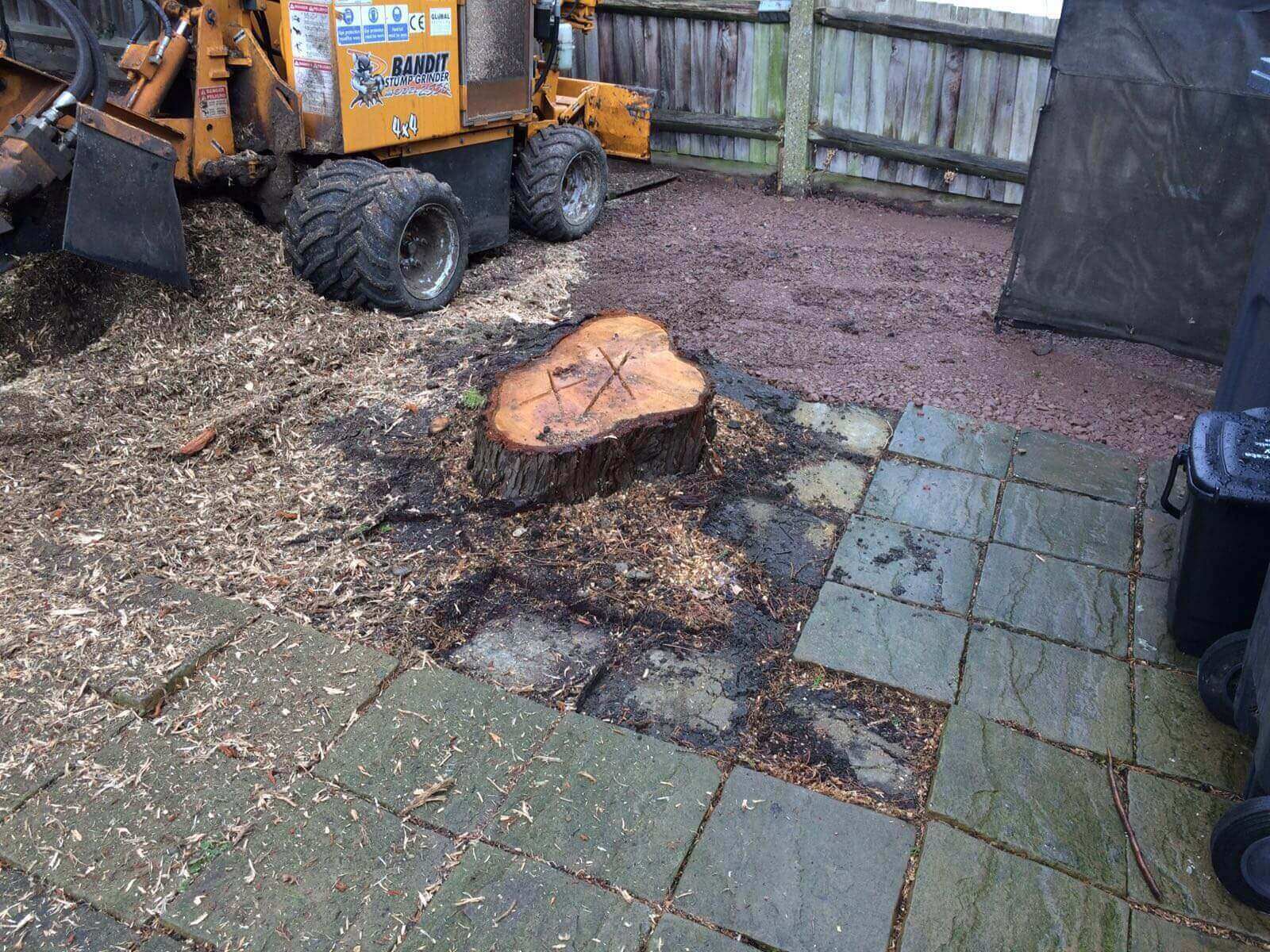 Tree Surgeons Earlsfield SW18